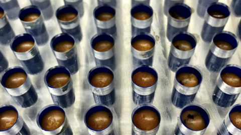 Preparación de las cápsulas para el tratamiento.- OPENBIOME