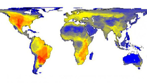 Mapa de la variación en el número de grandes mamíferos (45 kg o más grandes) que se habría producido en una escala de 100 x 100 kilómetros. Los números de la escala indican las especies. / Soren Faurby Mapa de la variación en el número de grandes mamíferos (45 kg o más grandes) que se habría producido en una escala de 100 x 100 kilómetros. Los números de la escala indican las especies. / Soren Faurby