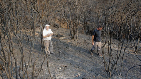 Dos vecinos del municipio coruñés de Porto Do San contemplan los restos calcinados de un monte en el que un incendio ha quemado más de 1.000 hectáreas. EFE/Xoan Rey Dos vecinos del municipio coruñés de Porto Do San contemplan los restos calcinados de un monte en el que un incendio ha quemado más de 1.000 hectáreas. EFE/Xoan Rey