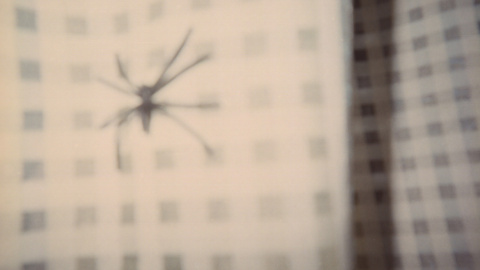 Instantánea tomada en el campo de refugiados de Project Elea en Atenas (Grecia).- PHES