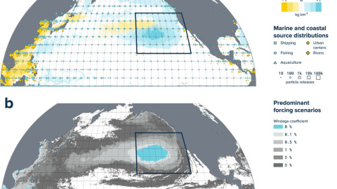 Distribución de plásticos en el Pacífico Norte
