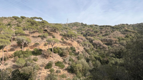 23/02/2024 - La Serra de la Marina, al Barcelonès. 23/02/2024 - La Serra de la Marina, al Barcelonès.