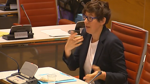 Pilar Lima./ PODEMOS Pilar Lima./ PODEMOS