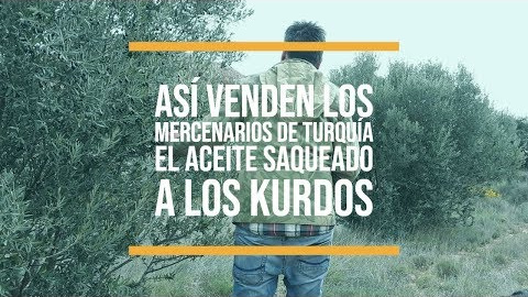 Documentos falsos<br> Documentos falsos<br>