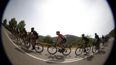 El ciclista holandes del equipo Giant, Tom Dumoulin, en el pelotón, durante la décima etapa de la Vuelta Ciclista a España, que ha partido de Valencia y ha terminado en Castellón, con un recorrido de 146,6 kilómetros. EFE/Javier Lizon