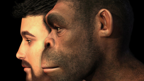 Representación de Homo erectus junto a un Homo sapiens. / Fotolia Representación de Homo erectus junto a un Homo sapiens. / Fotolia