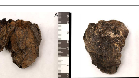 El corazón conservado de un represaliado por los falangistas en La Predraja, Burgos.-SERRULLA ET AL El corazón conservado de un represaliado por los falangistas en La Predraja, Burgos.-SERRULLA ET AL