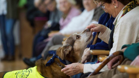 Miko ayuda en el centro de día San Cipriano en Bezana (Cantabria), Miko ayuda en el centro de día San Cipriano en Bezana (Cantabria),