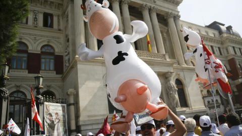 Un manifestante de la "marcha blanca" con a una vaca hinchable durante la protesta por los precios de la leche ante el Ministerio de Agricultura en Madrid, España, 4 de septiembre de 2015. REUTERS / Andrea Comas