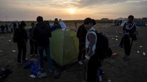 Inmigrantes en un campo cerca de la aldea de Röszke, Hungría, 5 de septiembre de 2015. Miles de inmigrantes exhaustos viajan a Austria este sábado. REUTERS / Marko Djurica