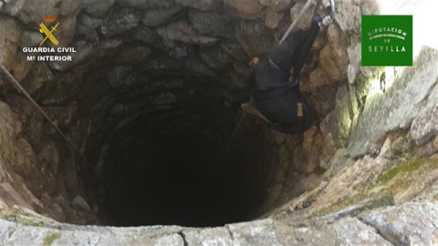 El pozo donde fue lanzado un perro en Carmona. EUROPA PRESS. El pozo donde fue lanzado un perro en Carmona. EUROPA PRESS.