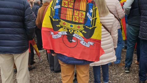 Un manifestante porta una bandera franquista Un manifestante porta una bandera franquista