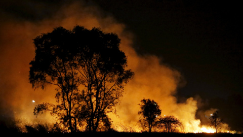 Un incendio en una zona forestal en las afueras de Palembang en la isla indonesia de Sumatra, 9 de septiembre de 2015. REUTERS / Beawiharta