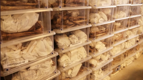 Los restos de 247 víctimas del franquismo en un almacén de la ARMH.- PÚBLICO Los restos de 247 víctimas del franquismo en un almacén de la ARMH.- PÚBLICO