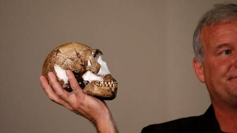 El profesor Lee Berger sostiene una réplica del cráneo del Homo naledi.- Siphiwe Sibeko (REUTERS) El profesor Lee Berger sostiene una réplica del cráneo del Homo naledi.- Siphiwe Sibeko (REUTERS)