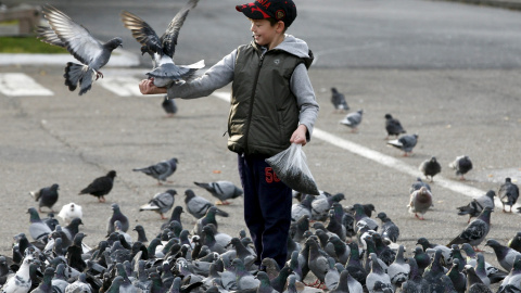 Un niño da de comer a las palomas al lado del río Yenisei cerca de Krasnoyarsk, Rusia. REUTERS/Ilya Naymushin