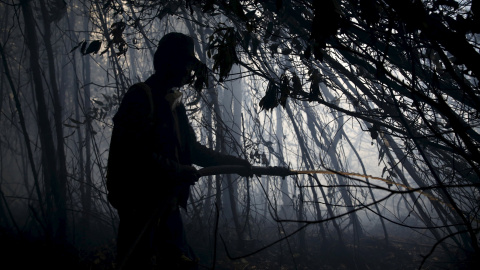 Algunos trabajadores rocían agua para extinguir el fuego en el interior de un bosque en la aldea Pulo Geronggang, al sur de Indonesia. REUTERS