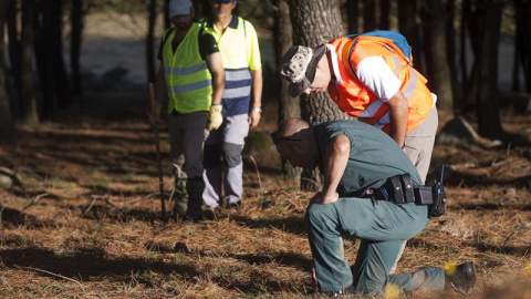 La búsqueda de Diana Quer continúa en España con grupos de voluntarios, mientras, la alerta internacional se ha extendido a 7 países de la UE/EFE La búsqueda de Diana Quer continúa en España con grupos de voluntarios, mientras, la alerta internacional se ha extendido a 7 países de la UE/EFE