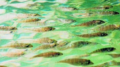 548ccd68a35d0.jpg 548ccd68a35d0.jpg