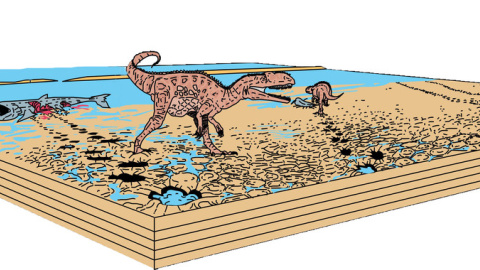 Reconstrucción paleoambiental de la laguna con el recorrido de los megalosáuridos. / Oriol Oms / UAB