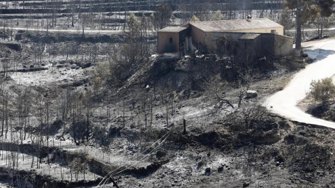 Zona arrasada por el incendio originado el domingo entre Xàbia y Benitatxell (Alicante)/EFE Zona arrasada por el incendio originado el domingo entre Xàbia y Benitatxell (Alicante)/EFE