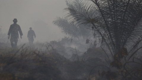 Soldados indonesios y policías cominan tras un descanso después de rociar agua sobre palmeras quemadas en la plantación de aceite de palma en la aldea de Jebus. REUTERS