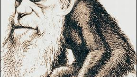 54a23ea90e6a6.jpg 54a23ea90e6a6.jpg