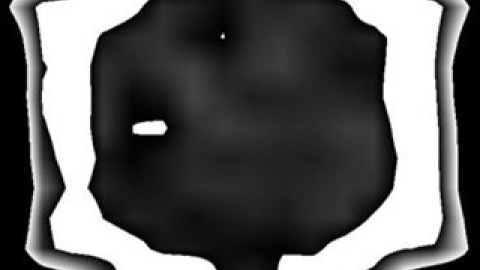 Los rayos X desvelan como hacen miel las abejas. EYER MICHAEL AGROSCOPE Los rayos X desvelan como hacen miel las abejas. EYER MICHAEL AGROSCOPE