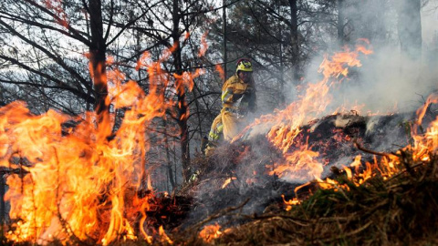 Agentes de montes de Cantabria apagan un incendio forestal este miércoles en los montes de la localidad cántabra de Vargas. EFE/ Pedro Puente Hoyos Agentes de montes de Cantabria apagan un incendio forestal este miércoles en los montes de la localidad cántabra de Vargas. EFE/ Pedro Puente Hoyos