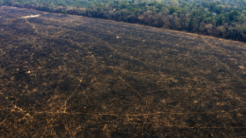 Así luce el suelo de la Amazonia en Porto Velho tras el paso de la deforestación y los incendios. / AFP Así luce el suelo de la Amazonia en Porto Velho tras el paso de la deforestación y los incendios. / AFP