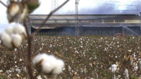 54a1a51f79101.jpg 54a1a51f79101.jpg