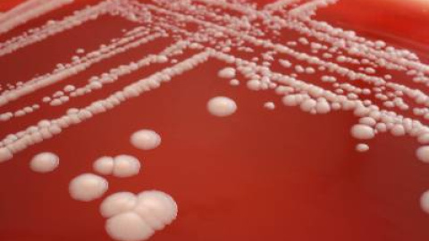 54a21922aef79.jpg 54a21922aef79.jpg