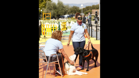 Una instructora de la Fundación ONCE del Perro Guía realiza una demostración como parte de los actos del 25 aniversario de la organización. ONCE