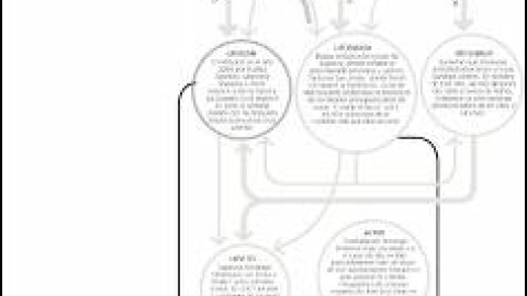 54a2195e7bff7.jpg 54a2195e7bff7.jpg