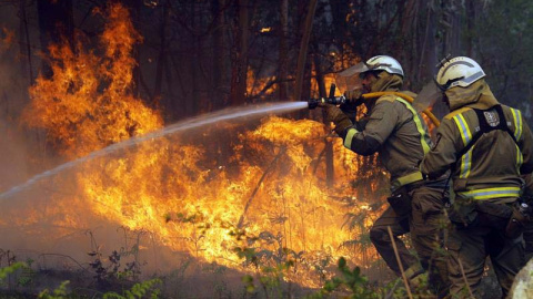 Los bomberos apagan uno de los numerosos focos del incendio en la localidad coruñesa de Rianxo. (LAVANDEIRA JR. | EFE) Los bomberos apagan uno de los numerosos focos del incendio en la localidad coruñesa de Rianxo. (LAVANDEIRA JR. | EFE)