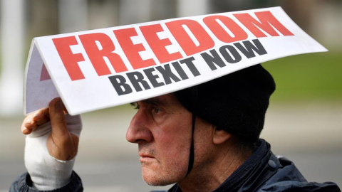 Un manifestante a favor del brexit./EFE Un manifestante a favor del brexit./EFE