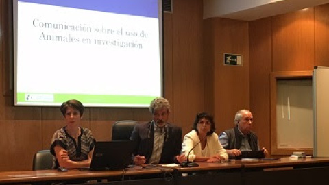 Emma Martínez, Ignacio Lizasoain, Pilar Bringas y Arturo Anadón en el acto/UCM Emma Martínez, Ignacio Lizasoain, Pilar Bringas y Arturo Anadón en el acto/UCM