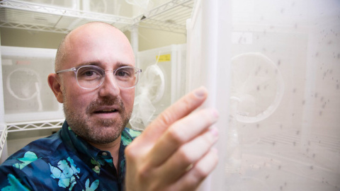 Matthew Degennaro, líder del Laboratorio de Genética Tropical de Miami (EE UU) / FIU