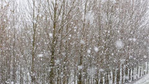 El tiempo empeora este jueves, con nieves, lluvias y frío. En la foto, nevada en el Puerto de Erro. / EFE El tiempo empeora este jueves, con nieves, lluvias y frío. En la foto, nevada en el Puerto de Erro. / EFE
