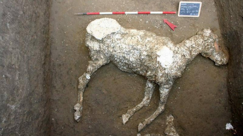 Fotografía facilitada por el Parco Archeologico di Pompei de un caballo sepultado en unas cuadras desde la erupción que acabó con la urbe y que era "de las razas más nobles" a juzgar por los adornos de bronce de su testuz, que ha sido el úl Fotografía facilitada por el Parco Archeologico di Pompei de un caballo sepultado en unas cuadras desde la erupción que acabó con la urbe y que era "de las razas más nobles" a juzgar por los adornos de bronce de su testuz, que ha sido el úl