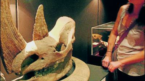 548cd1690dffe.jpg 548cd1690dffe.jpg