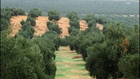 548d387a8c4f2.jpg 548d387a8c4f2.jpg