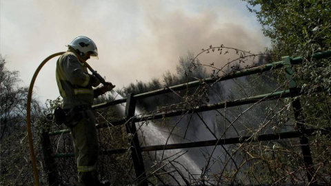 Un bombero intentan apagar un incendio forestal en Córdoba. EFE Un bombero intentan apagar un incendio forestal en Córdoba. EFE