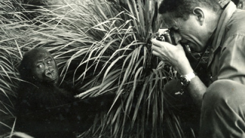 548cd27b612c2.jpg 548cd27b612c2.jpg