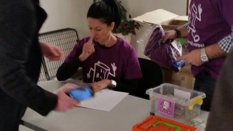 Acciones de los trabajadores de Everest.