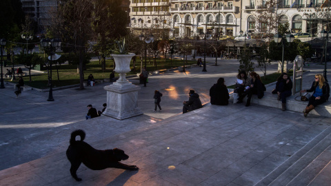 Un perro en la plaza Syntagma de Atenas. Un perro en la plaza Syntagma de Atenas.