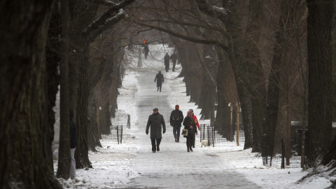 Vrias personas caminan por Central Park, en Nueva York. REUTERS/Carlo Allegri
