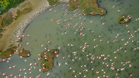 Una imagen del Parque Nacional de Doñana. - DIEGO LÓPEZ - WWF ESPAÑA