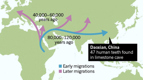 Una migración temprana desde África a Asia. / Nature