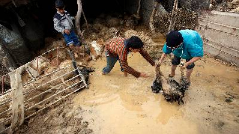 548d3a0e8b30f.jpg 548d3a0e8b30f.jpg